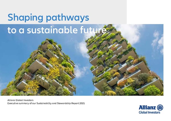 Executive summary - Sustainability and Stewardship Report 2021 - Page 1