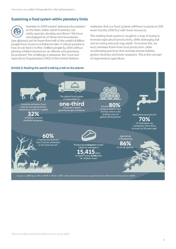 The crisis on our plates: finding potential in failing food systems - Page 3